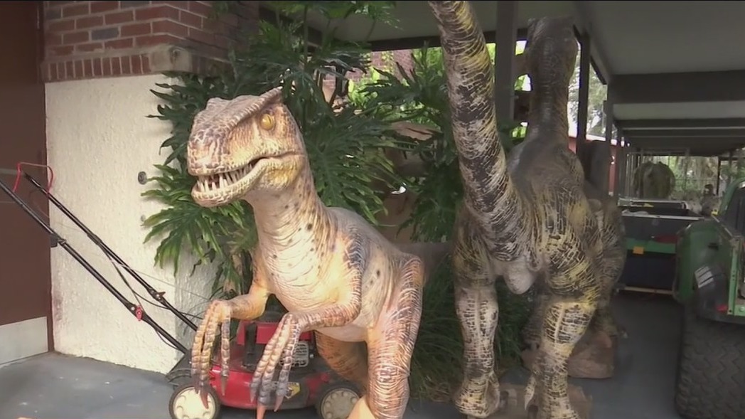 Dinosaur stolen from Dinos and Dragons exhibit
